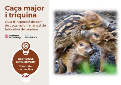 Suport a la comunicació